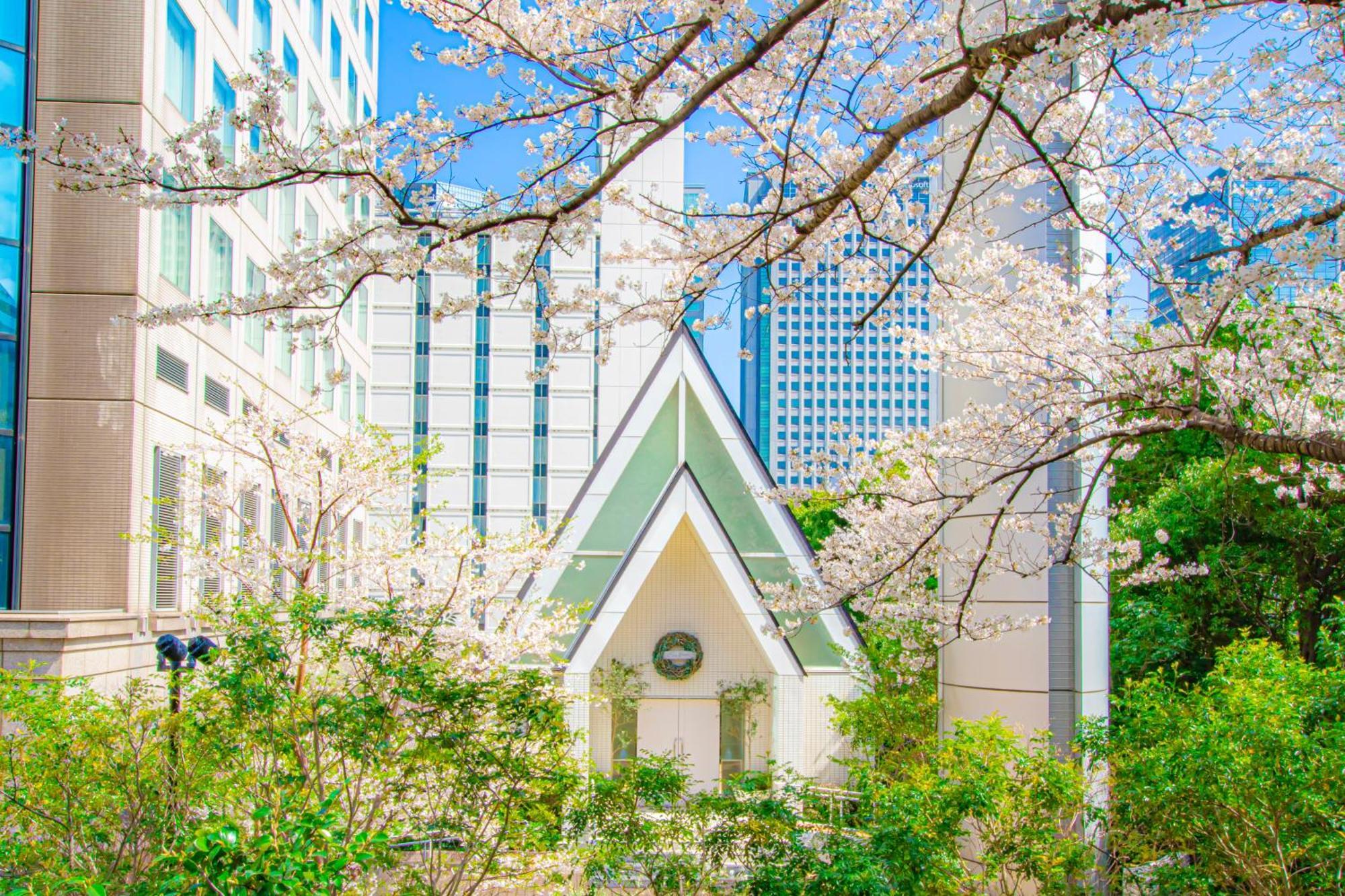 Shinagawa Tokio
